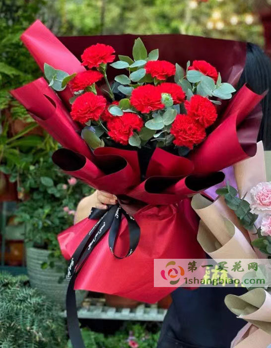 母親節之花11紅康