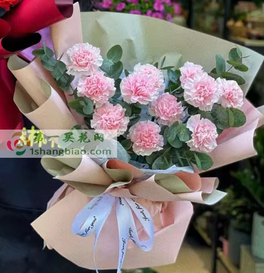 母親節之花11粉康